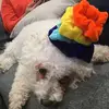 jonathan.d.flagg - @jonathan.d.flagg - TikTok