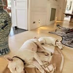 @jonathanflakes3 - Instagram