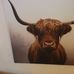 Jon Fleet - Facebook