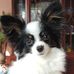 Jonathan Freese - Facebook