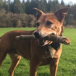 Jonathan Friday - @jonathan_friday7 - Instagram