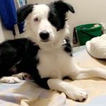 Jonathan Fulghum - @jonathan.fulghum.1 - Instagram