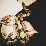 Jonathan Gage - @kaaropib366 - Instagram