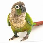 Jonathan Gaines - @jonathan_05032010 - Instagram