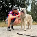 Jonathan Gallego Martínez - @papadogpaseos - Instagram