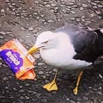 Jonathan Gardner - @ussgardnerprise_is_on_strike - Instagram