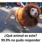 Jonathan Garibay - @jonathan.garibay.376 - Instagram