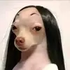 Jonathan Garibay - @jonathangaribay1 - TikTok