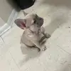 Jonathan Garza - @jonathan.garza6 - TikTok