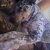 Jonathan Gasper - Facebook