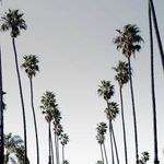 Jonathan Gavin - @johngave11 - Instagram