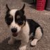Jonathan Gilley - Facebook