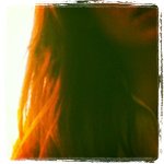 Jonathan Gilley - @facetalaut - Instagram