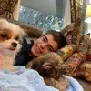 Jonathan Gingras - @jonathan.gingras - TikTok