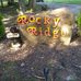 Jonathan Goode - Facebook