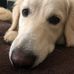 Jon Goodell - Facebook