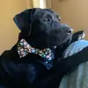 Jonathan Gordon - @mr.augistino - TikTok