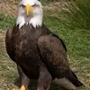 Jonathan Gorley - @jimmy.john537 - TikTok
