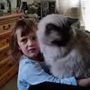 Jonathon Greener - @jonathongreener - TikTok