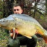 Jonathan Guerin - @jonathanguerin37 - Instagram