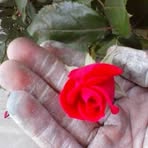 Johnathan Gustafson - Facebook