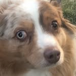 Jonathan Gustafson - @expertranger244 - Instagram