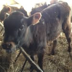 Jonathan Haar - @farmerjon9 - Instagram