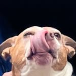 Jonathan Hager - @jonhager81 - Instagram