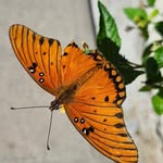 Jonathan Hager - @geojon_4546 - Instagram