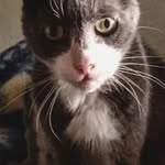 Jonathan Hall - @jonathan.hall1966 - Instagram