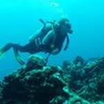 Jonathan Halpin - @orangepenguin3 - Instagram