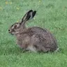 Jonathan Hare - @jonathanhare.2 - TikTok