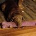 Jon Haught - Facebook