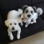 jonathanhazeleger1 - @jonathanhazeleger1 - Instagram