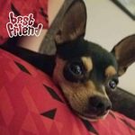 Jonathan Hedges-Altenbrun - @jonathanaltenbrun - Instagram