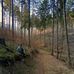 Jonathan Henning - Facebook