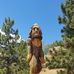Jonathan Higdon - Facebook