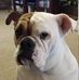Jonathan Higdon - Facebook