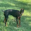 Jonathan Hightowe878 - @jonathanhightower03 - TikTok
