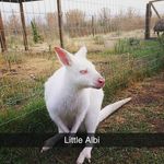 Jonathan Hightower - @jonathan_hightower - Instagram