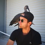 Jonathan Hill - @jono_fishingsa - Instagram