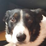 jonathan hillier - @j.hillier1234 - Instagram