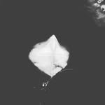 Jonathan Hoffman - @jonathanhoffman1998 - Instagram