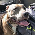 Jonathan Holder - @jdude20641 - Instagram