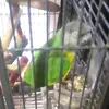 Jonathan Halliday892 - @jonathanhalliday8 - TikTok