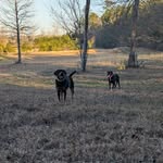 Jonathan Holladay - @jonathanholladay - Instagram