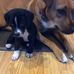 Jon Holsinger - Facebook