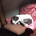 Jonathan Holter - Facebook