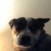 Jon Hostetter - Facebook