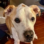 Jonathan Huey - @jonathan.huey.16 - Instagram